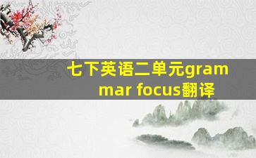 七下英语二单元grammar focus翻译